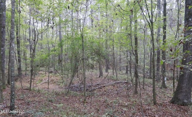 0 Westline Lots Dr, Madison, MS 39110 - photo 3