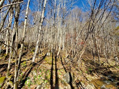 999 Scronce Creek Rd, Cane River, NC 28714 - photo 4