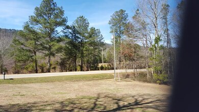 S DICK CREEK VIEW