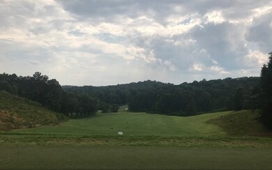 LT541 Tonto Dr, Ellijay, GA 30540 - photo 2