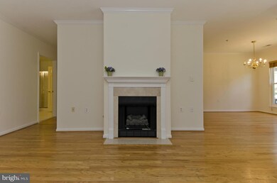 The Pavillion unit 101, Falls Church, VA 22043 - photo 6
