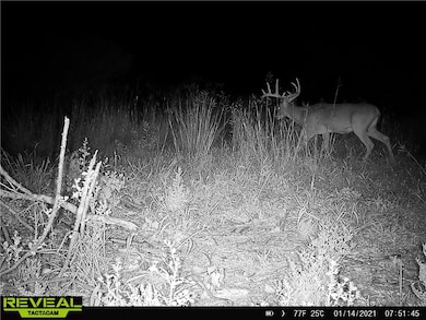 0 Fm 673 unit 407286, Beeville, TX 78102 - photo 7