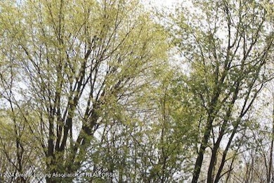 2645 Navigator Ln, Lansing, MI 48911 - photo 2