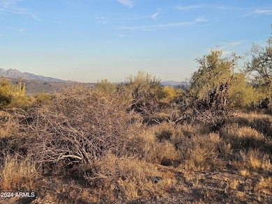 3 plus acres Rio Verde