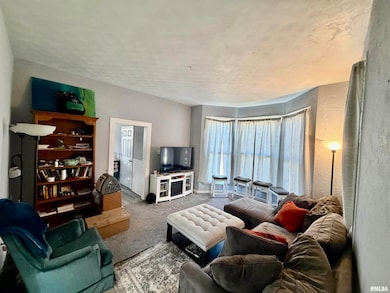 407 E 14th St, Davenport, IA 52803 - photo 7