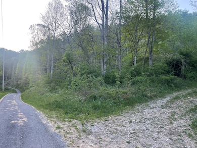 00 Bob Byrd Rd, Spanishburg, WV 25922 - photo 6