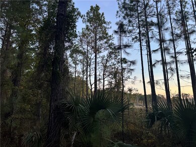 Lot 357 Wood Stork Way, Waverly, GA 31565 - photo 4
