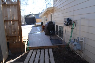 back yard