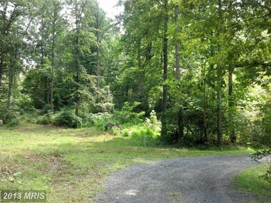 0 Chimney Cir unit 1003681460, Middletown, VA 22645 - photo 3