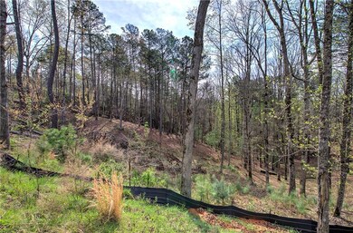 View of local wilderness