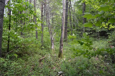 100 U S 302, Twin Mountain, NH 03595 - photo 3