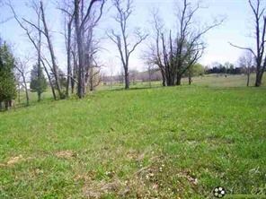 unlisted-address, Columbus, IN 47201 - photo 4