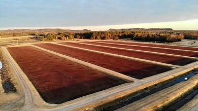 N7050 Highway 12 and 16, Camp Douglas, WI 54618 - photo 6