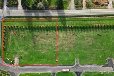 739 Denali Ct, Bellingham, WA 98226 - photo 5