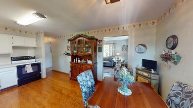 514 Pilot St, Albert Lea, MN 56007 - photo 7