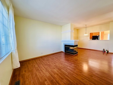 9499 Harrison St unit 671494, Des Plaines, IL 60016 - photo 7