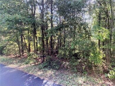 TBD Goldonna Rd, Gorum, LA 71031 - photo 2