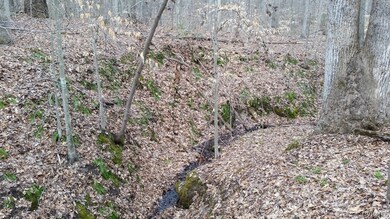 Stream runs through property, surrounded by a stee