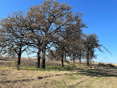 0000 Farm To Market Road 901, Whitesboro, TX 76273 - photo 3
