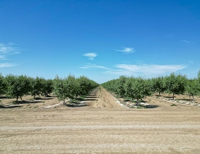 0 Lassen Ave unit 624993, Five Points, CA 93624 - photo 4