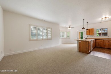 New Carpet
