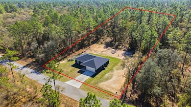 24698 Sutton Ave, Dunnellon, FL 34431 - photo 3