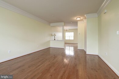23216 Rainbow Arch Dr, Clarksburg, MD 20871 - photo 5