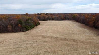 Tract 11 Polston Ln, Hickory Grove Township, MO 63357 - photo 5