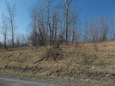 Other. Lot #5 is on the cul-de-sac portion off Rab