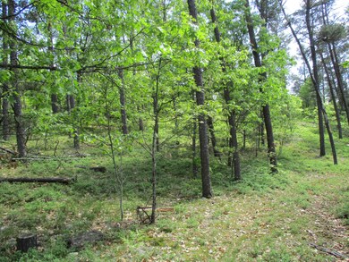 IMG_3586