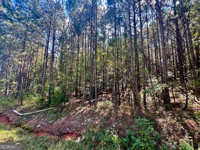 1150 Denton Rd, Douglasville, GA 30134 - photo 4