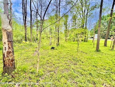 0 Lot B Willow, Lansing, MI 48917 - photo 5