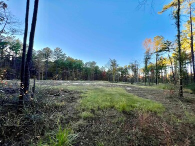 375 Piney Point Dr, Milam, TX 75959 - photo 6