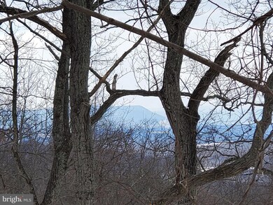 Lot 847,848,849 Blue Mountain Rd, Riverton, VA 22630 - photo 5