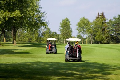 FairwayGolfCarts