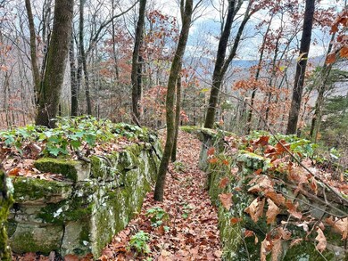 0 Cr 961 Rd unit 25667345, Green Forest, AR 72638 - photo 7