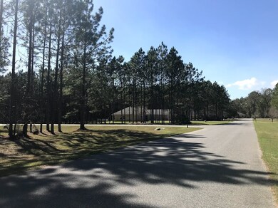 216 Sand Pine Trail, Crawfordville, FL 32327 - photo 2