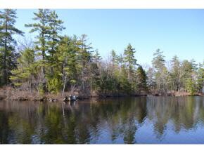 65.3 Gansy Island, Moultonborough, NH 03254 - photo 6