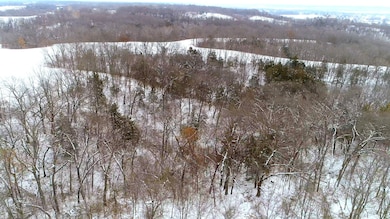 4991 Bluff Rd, Fort Madison, IA 52627 - photo 7