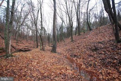 Lot 29 & 30 Staubwoods Dr, Romney, WV 26757 - photo 6