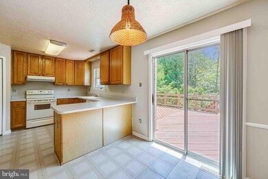 9217 Howland Rd, Laurel, MD 20723 - photo 6