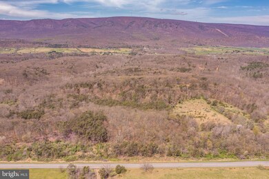 17.5 Acres N Timber Ridge Rd, Cross Junction, VA 22625 - photo 3