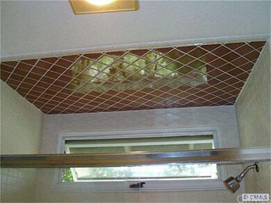 Shower ceiling