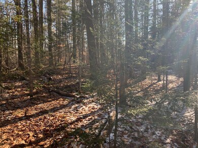 Sunlight
