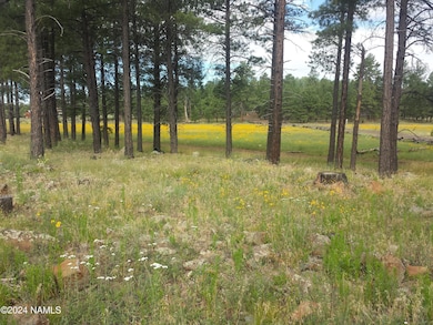 6812 W Soggy Bottom Ranch Rd, Flagstaff, AZ 86001 - photo 4