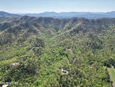 981 Critter Valley Way, Newport, TN 37821 - photo 4