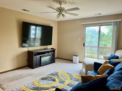 2546 Coppergate Square Dr unit E, Saint Louis, MO 63129 - photo 7