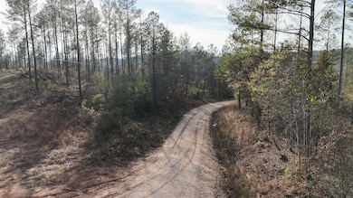 010 County Road 176, Piedmont, AL 36272 - photo 4