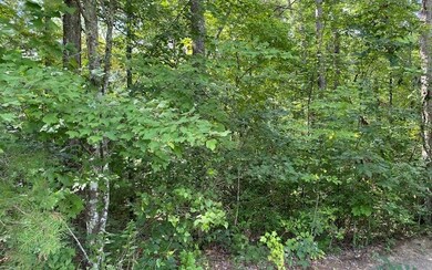 Additional View