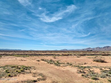 40.74 Acre N Dill Rd unit 302, San Simon, AZ 85632 - photo 5